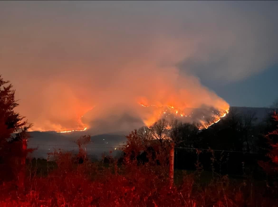 L'Association américaine de cardiologie alerte sur les risques cardiovasculaires liés à la fumée des feux de forêt canadiens
